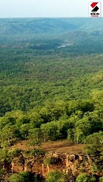 ભારતમાં પણ હવે જોવા મળશે ચિત્તા, જન્મદિવસે વડાપ્રધાન દેશને આપશે ભેટ