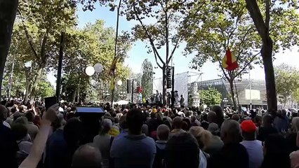 Gritos de "Libertad" en la marcha por el castellano