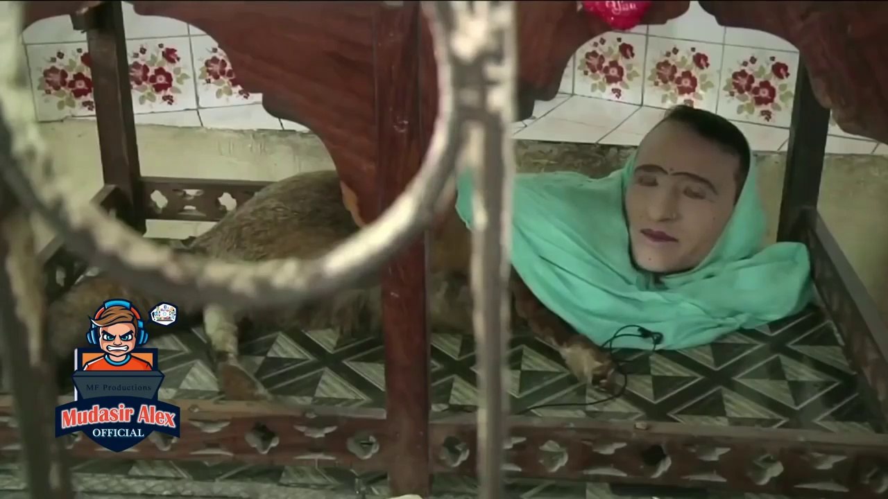 Mumtaz Begum Part 1 | Fox women in karachi Zoo Pakistan | Sindhi T-Series Official