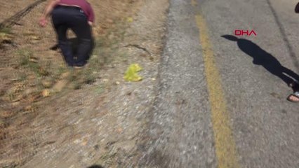 Son dakika haber: AYDIN'DA İNCİR KAVGASINDA 8 KİŞİ HASTANELİK OLDU