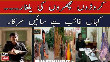 Sindh Par Macharon Ka Qabza Lekin Sindh Government Kahin Nazar Nahi Arahi