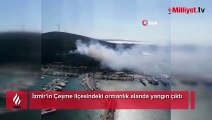 İzmir'de orman yangını! Ekipler müdahale ediyor