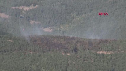 Son dakika haberi: TOKAT ORMAN YANGINI