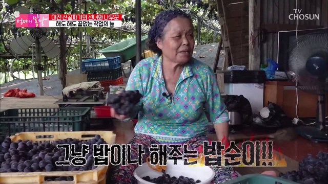 앉으나 서나 작업하는데 편하지 않은 엄마의 허리 TV CHOSUN 20220918 방송