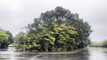 Typhon Nanmadol: fortes pluies et vents violents au Japon