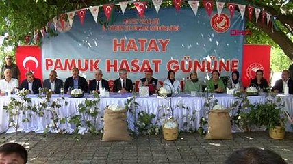 Pamuk üreticisine destek 271 liraya yükseltildi