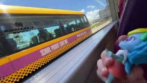 PONIES ENJOY A BUS RIDE