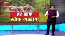 Chhattisgarh: 10 हाथियों के झुंड का उत्पात | Chhattisgarh Elephant Terror | News Nation