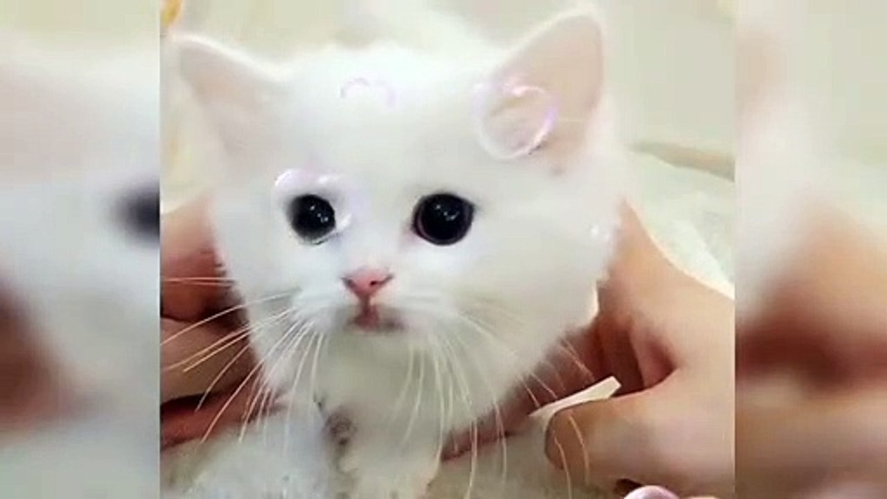 ❤❤❤