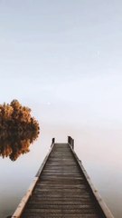 Jannat Ma Jana Wala Janwar | Kaun Kaun Se Janwar Jannat Ma jayenga #shorts #muhammadib