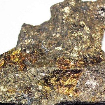 Amazing facts hindi most important facts interesting facts hindi