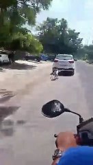 Cruelty by Doctor : प्ला​स्टिक सर्जन डॉक्टर ने श्वान को रस्सी से बांध कार से दौड़ाया