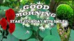 Good Morning | Start your day with smile | life is good when you are happy | GOOD MORNING video