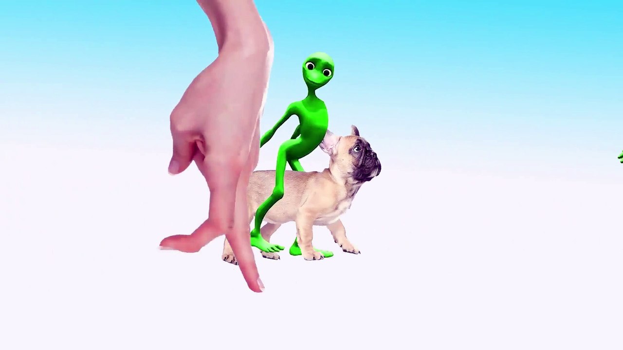 Dame tu cosita 2018 - Dog vs #Aliendance #damcetucosita