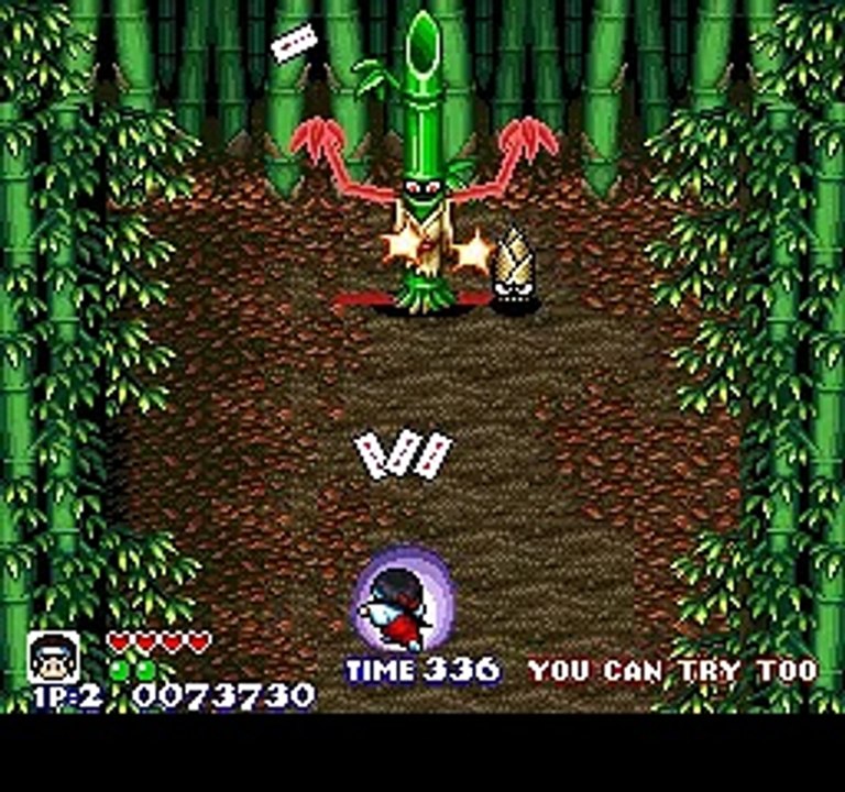 Pocky & Rocky online multiplayer - snes