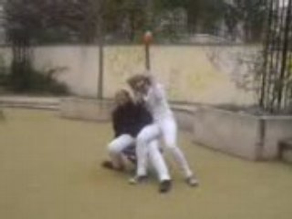 Photo 011
