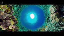 Kreislauf des Lebens - Die Gaia-Hypothese | Doku HD
