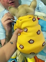 OMG!!! So Cute Puppies  Part-1