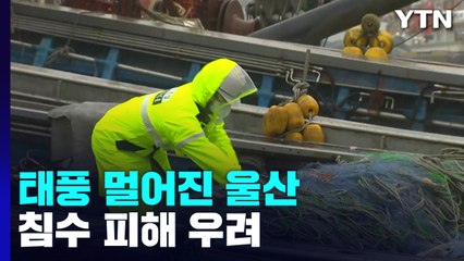 태풍 멀어진 울산...만조 겹치면서 침수 피해 우려 / YTN
