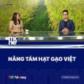 Nâng tầm hạt gạo Việt