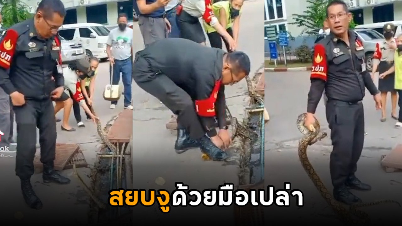 ไม่ธรรมดา ! ฮาว ทู จับงูสไตล์ รปภ. มีแค่ 2 มือกับคอมแบท 1 คู่ ก็เอาอยู่...