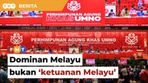 Dominan Melayu bukan ‘ketuanan Melayu’ bagi Umno, Puad bidas Musa Hitam