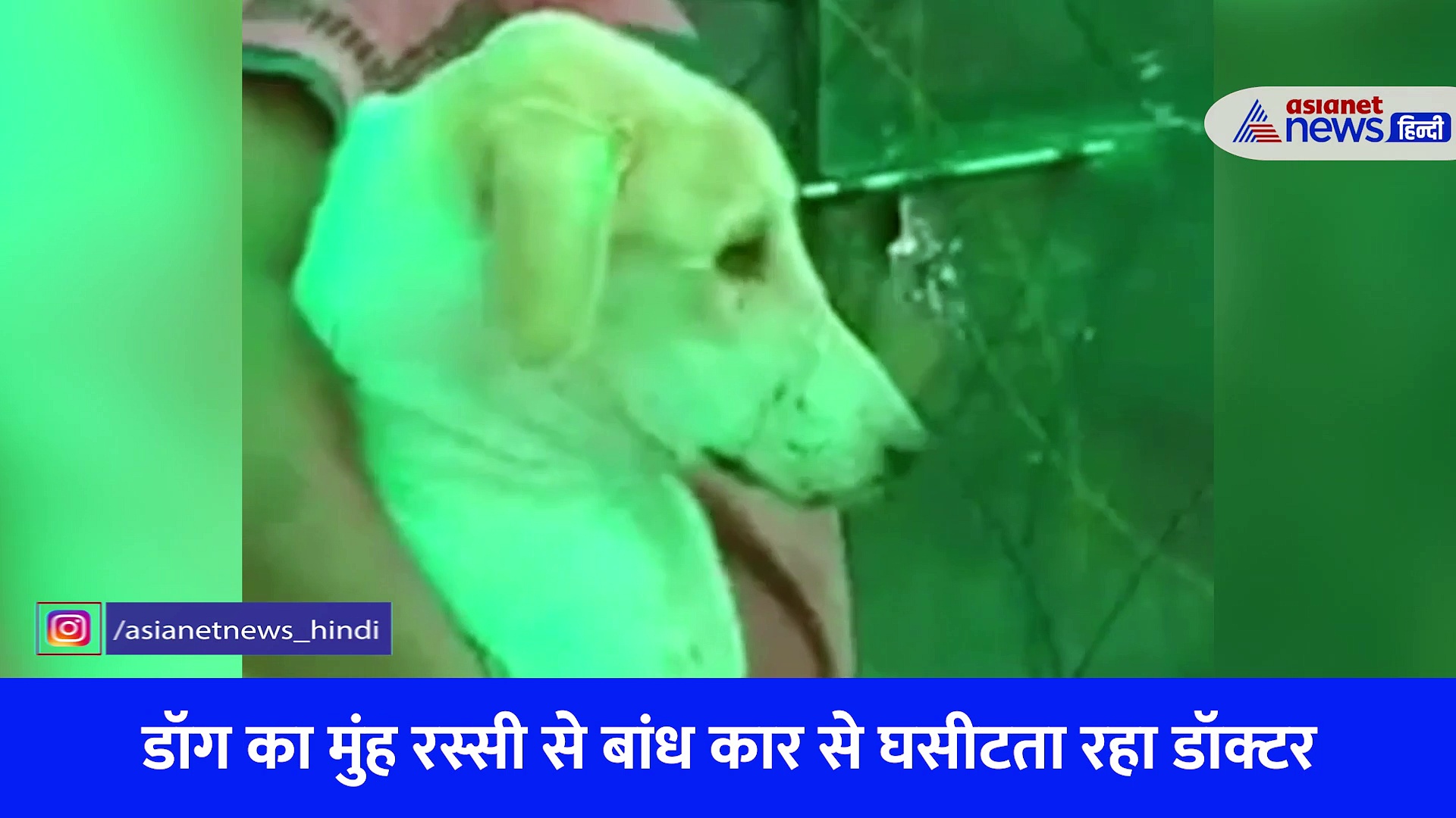 राजस्थान का Shocking Video: घर में घुसा स्ट्रीट डॉग, बेजुबान को कार से बांधकर डॉक्टर ने शहरभर में घसीटा