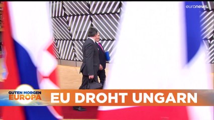 Nachrichten des Tages | 19. September - Morgenausgabe
