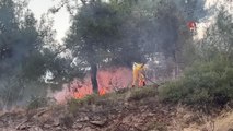 Son dakika haberleri! Hatay'da ormanlık alanda çıkan yangın evlere sıçramadan söndürüldü