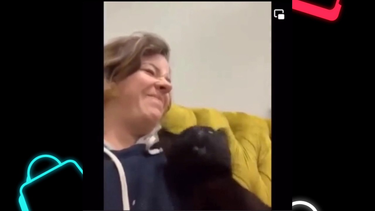 Try not to LAUGH animals - Video Of The FUNNIEST Cats And Dogs On Earth 2022