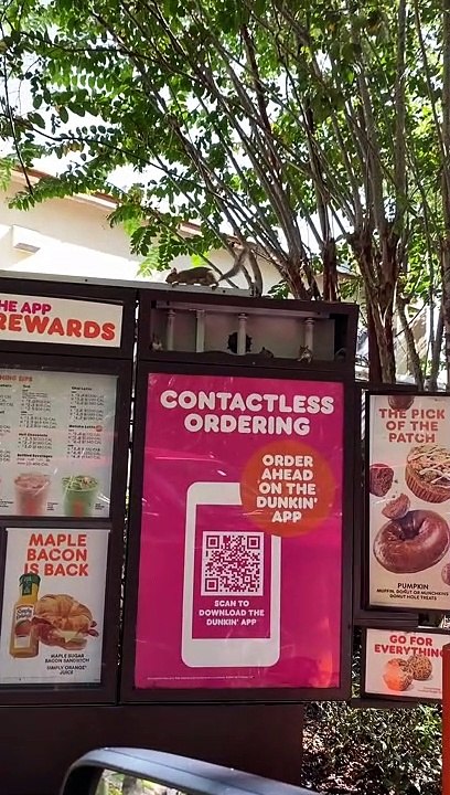 Squirrel Family Resides in Dunkin' Menu