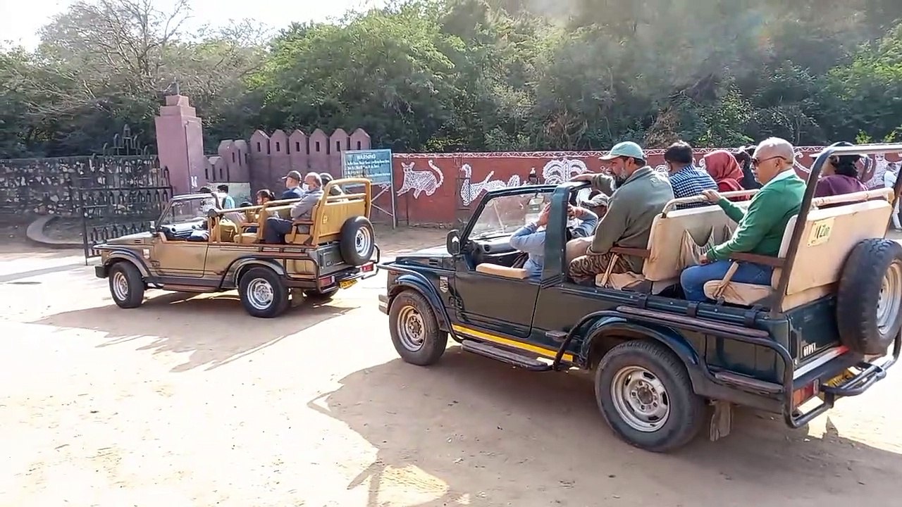 रणथम्भौर: हॉफ डे सफारी की एवज में एक और फुल डेस...