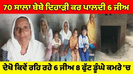 70 ਸਾਲ ਦੀ ਉਮਰ 'ਚ ਵੀ ਲਾਭ ਕੌਰ ਦਿਹਾੜੀਆਂ ਕਰ ਪਾਲਦੀ ਹੈ 6 ਜੀਅ | OneIndia Punjabi