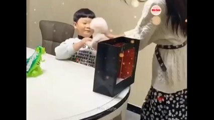 Funniest Dogs and Cats - Awesome Funny Pet Animals Videos