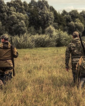 Chasse : l'étonnante proposition du Sénat pour mieux encadrer la pratique - F