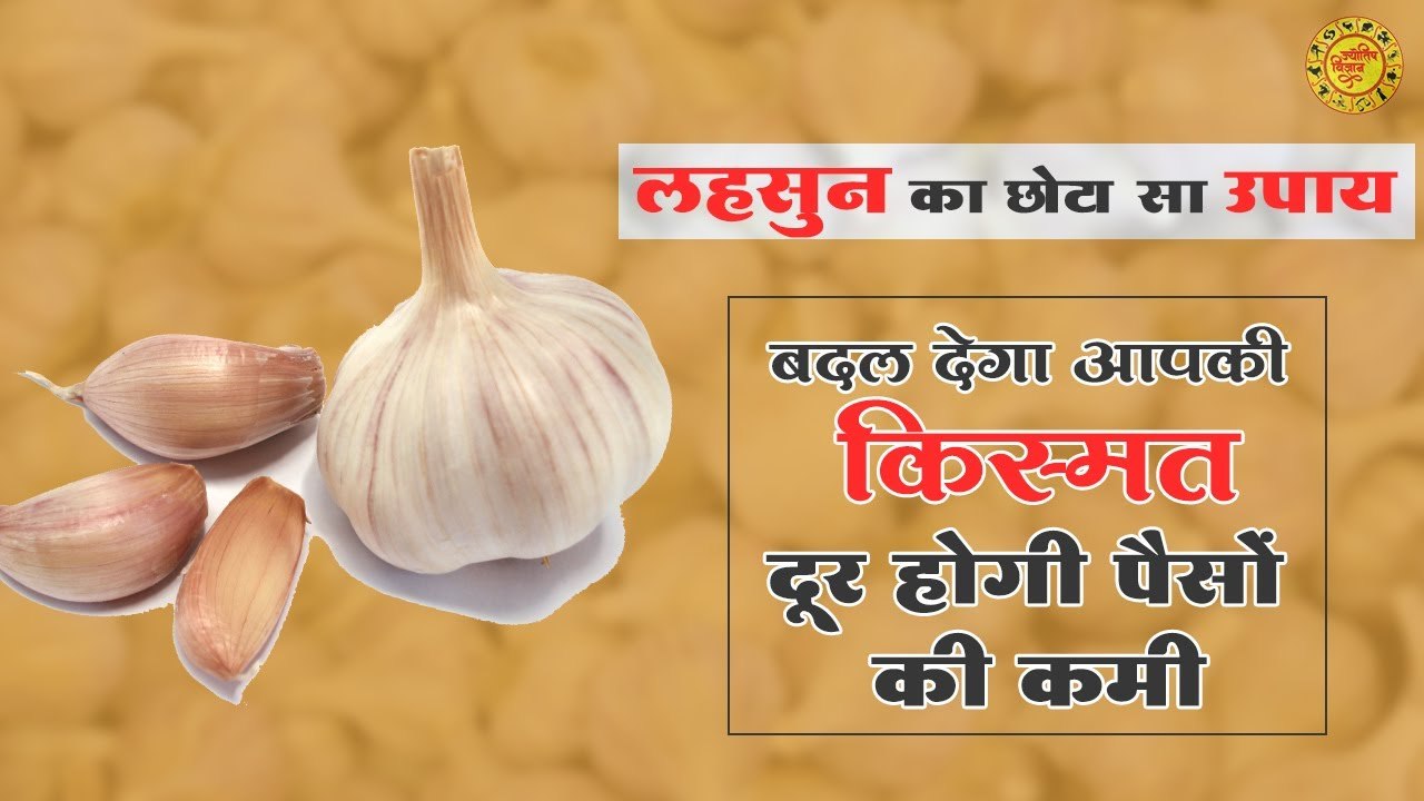 धन के लिए लहसुन का उपाय  Garlic remedy for money  लहसुन के अचूक उपाय जिसे करने से होगी धन की वर्षा