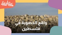 واقع الخصوبة في فلسطين