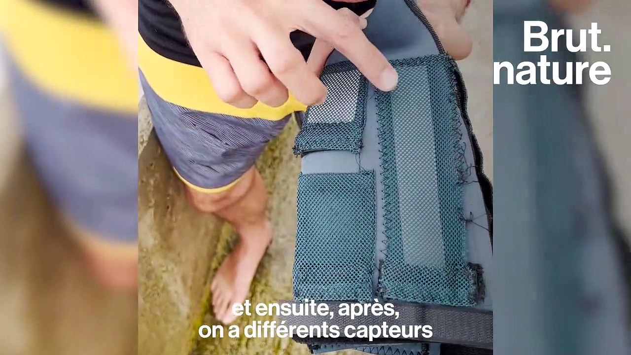 Ils détectent la pollution des eaux en surfant