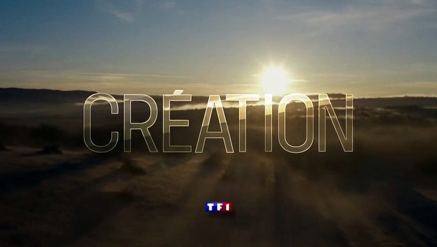 Touchées Bande-annonce VF