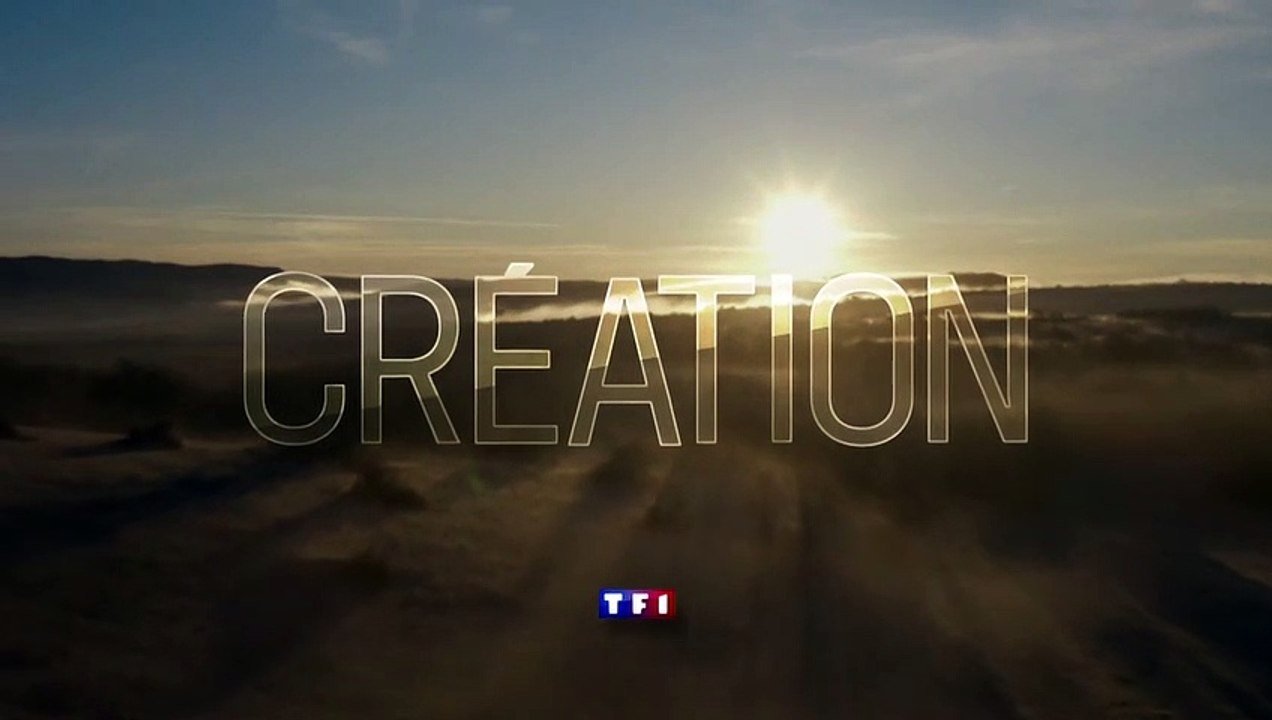 Touchées Bande-annonce VF