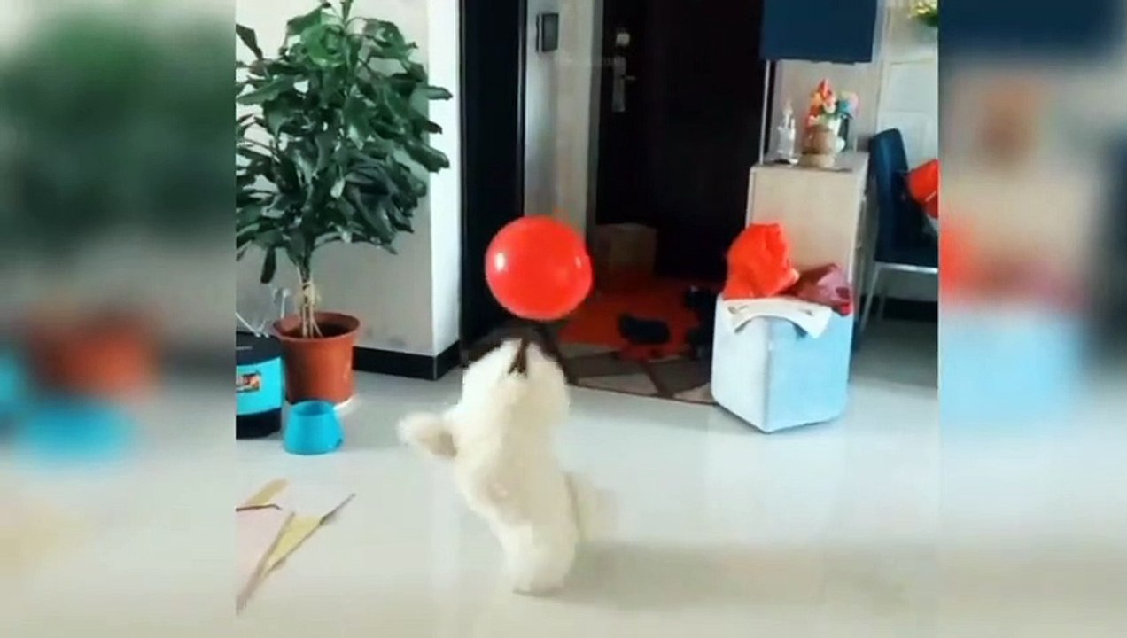 COME PLAY WITH ME