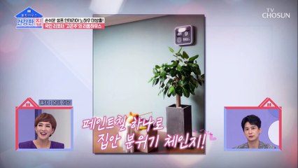리폼의 달인 고은주 신혼집 같은 하우스 大 공개 TV CHOSUN 20220919 방송