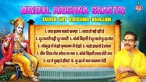 Mridul Krishna Shastri Super hit krishna bhajan !! Krishna bhajan !! Most Popular Krishna Bhajan || New Video - 2022