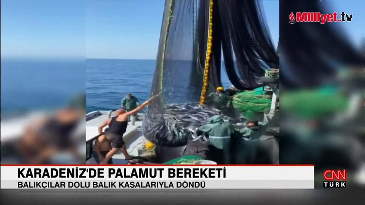 Karadeniz De Palamut Bollu U Ton Bal K Karaya Kt Dailymotion Video