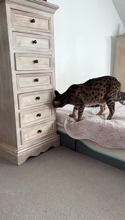 Caught In The Act