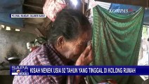 Kisah Pilu Nenek Siti, Tinggal Sebatangkara di Kolong Rumahnya yang Nyaris Ambruk