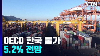 OECD, 올해 한국 물가 5.2% 전망...정부 부채비율 경고 / YTN