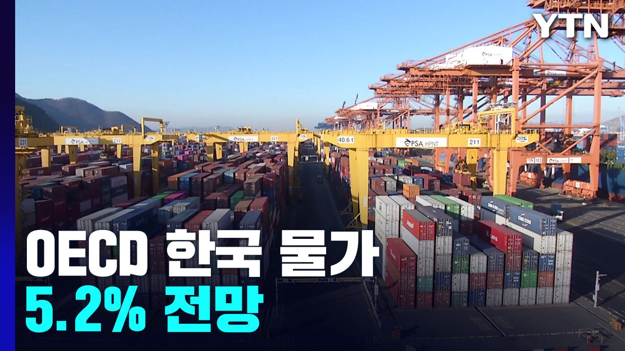 OECD, 올해 한국 물가 5.2% 전망...정부 부채비율 경고 / YTN