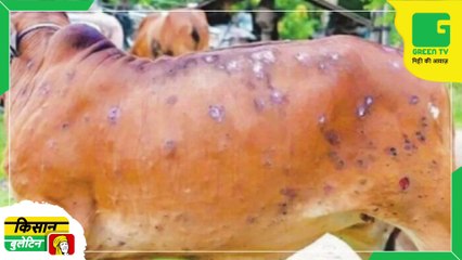 PM PRANAM योजना रासायनिक उर्वरकों का इस्तेमाल घटाने की तैयारी | Fertilizers | Daily Agriculture Knowledge