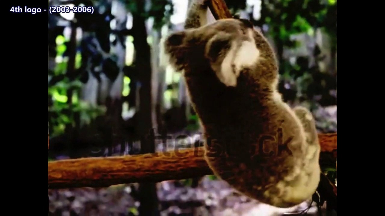 Koala Productions Logo History (LSF2021)